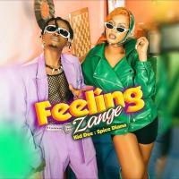 Feeling Zange - Spice Diana ft. Kid Dee