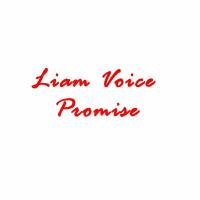 PROMISE Lyrics - Liam Voice 