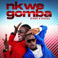 Wankwata (feat. Dizo Manizo) - Radio & Weasel ft. Dizo Manizo