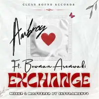 EXCHANGE Lyrics - Ambroy ft. Bowman Aremwaki