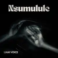 Nsumulule - Liam Voice 