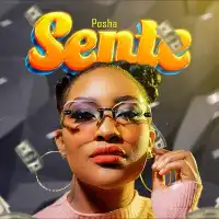 Sente Lyrics - Posha 