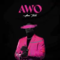 Awo Lyrics -  Album by Allan Toniks