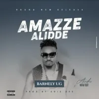 Amazze Alidde - Barnely UG 