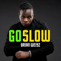 Go Slow Lyrics - Brian Weiyz 