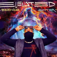 Elevated - Beenie Gunter