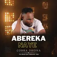 Bareke Naye Lyrics - Cobra Dhona 