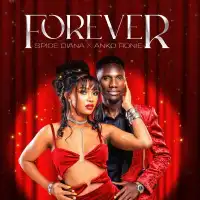 Forever Lyrics - Spice Diana, Anko Ronnie 