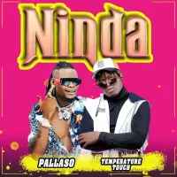 Ninda Lyrics - Temperature Touch ft. Pallaso