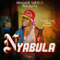 Nyabula Lyrics - Alien Skin 