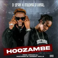 Hoozambe Lyrics - D Star, Mudra D Viral 