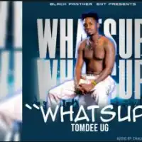 Whatsup Lyrics - TomDee UG 