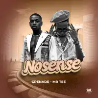 Nonsense Lyrics - Grenade Official ft. Mr. Tee