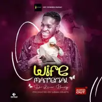 Wife Material Lyrics - Dr Lover Bowy 