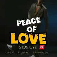 Peace of Love Lyrics -  Album by Shon Wyz