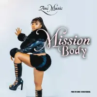 Mission Body - Zinc 