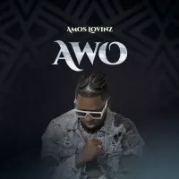 AWO Lyrics - Amos Lovinz 