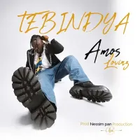 Tebindya Lyrics - Amos Lovinz 