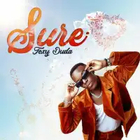 Sure - Toxy Duda 