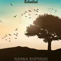 Ndaba Butonde - Echoled 