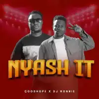 Nyash It - Goodhope Alex ft. DJ Ronnie