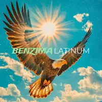 Song Cover Art