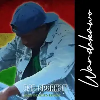 Wandekawo - Bad Sparksy 