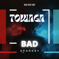 Towaga - Bad Sparksy 