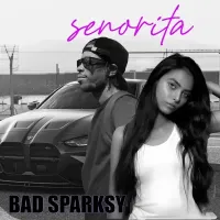Senorita - Bad Sparksy 