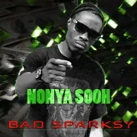 Nonya Sooh - Bad Sparksy 