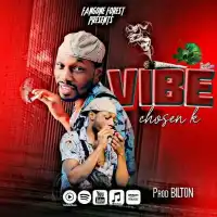 Vibe - Chosen K 