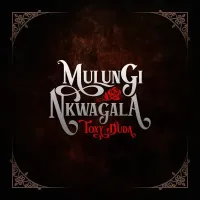 Mulungi - Toxy Duda 