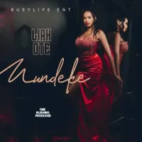 Song Cover Art