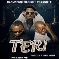 Teri - TomDee UG ft. Dexta Rapper