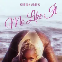 Me Like It - Shena Skies 