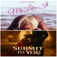 Me Like It / Submit to You - Single - Shena Skies
