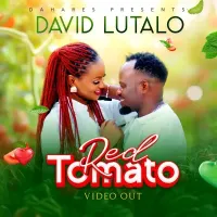 Red Tomato - David Lutalo 
