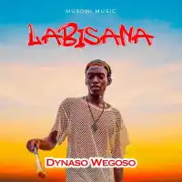 Labisana - Dynaso Wegoso 