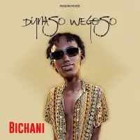 Bichani - Dynaso Wegoso 