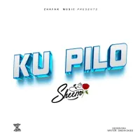 Ku Pilo (Instrumental) - Sheem Mwanje 