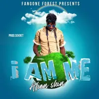 Song Cover Art