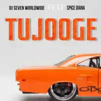 Tujooge - Spice Diana ft. Dj Seven Worldwide