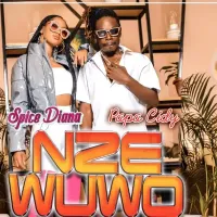 Nze Wuwo - Spice Diana ft. Papa Cidy