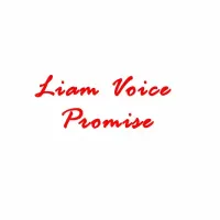 PROMISE - Liam Voice 