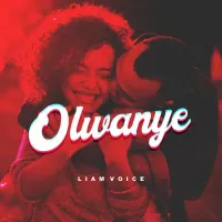 Olwanye - Liam Voice 