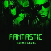 Ba Customer - Radio & Weasel 