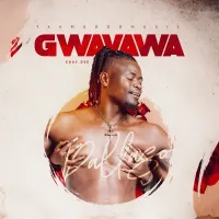 Gwavawa - Pallaso 