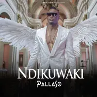 Ndikuwaki - Pallaso 