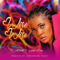 Wire Wire - Jowy Landa 