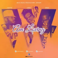 Am Loving (Remix) - A Pass ft. Cindy, Don MC